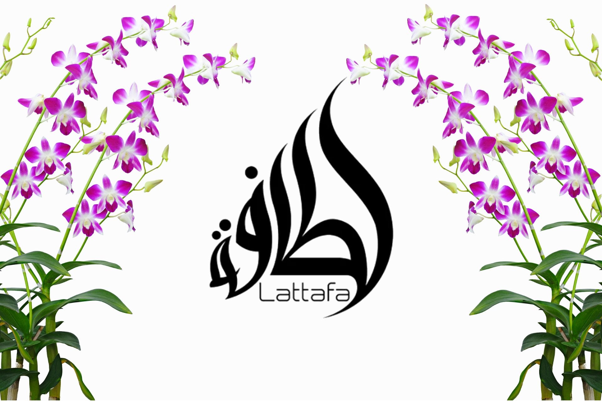 Lattafa Perfumes
